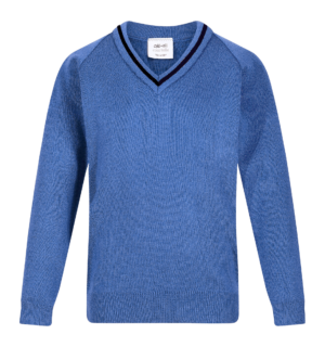 Newlands Single Stripe V-Neck Jumper