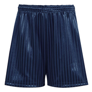Navy Shadow Stripe Shorts