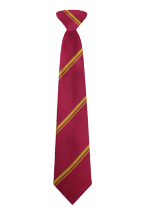 St. Edmund Campion School Tie