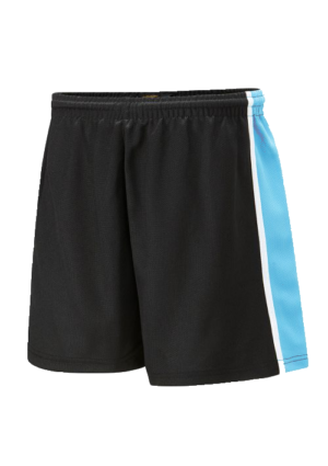 Wexham Secondary P.E. Shorts