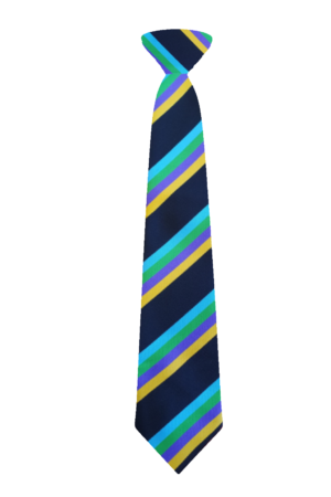 Beechwood School Tie