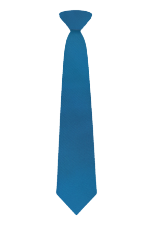 Grove Academy Secondary Tie