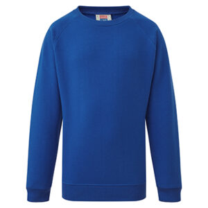 Dark Royal Tracksuit Top